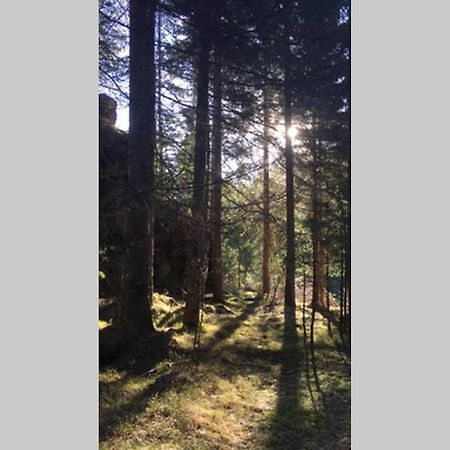 Gemuetliches Ferienhaus Am Waldrand Tröpolach Eksteriør bilde